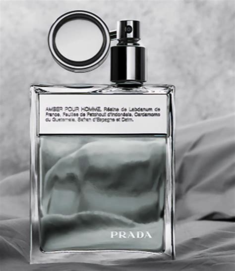 prada amber pour homme fragrantica.